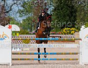 BOLOGNI F LOVESTAR CampITA2013- S5 1315 : BOLOGNI FILIPPO, Campionati Italiani 2013, Cattolica, Horse Riviera Resort, LOVESTAR, foto di Stefano Secchi ©